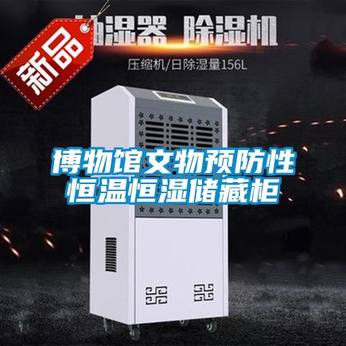 博物館文物預防性恒溫恒濕儲藏柜