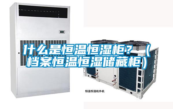 什么是恒溫恒濕柜？（檔案恒溫恒濕儲藏柜）