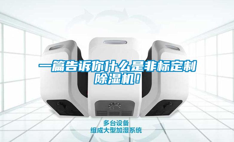 一篇告訴你什么是非標定制除濕機！