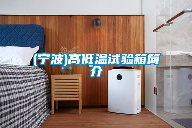 (寧波)高低溫試驗(yàn)箱簡介