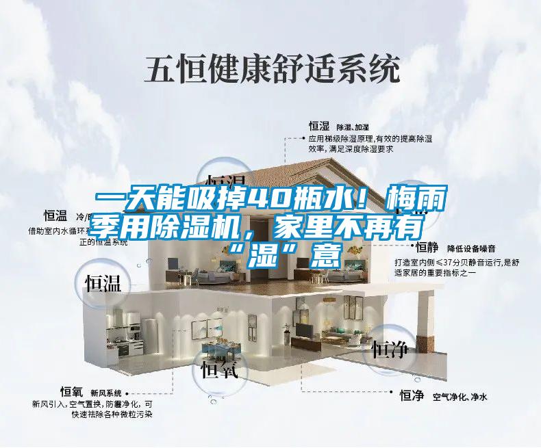 一天能吸掉40瓶水！梅雨季用除濕機(jī)，家里不再有“濕”意
