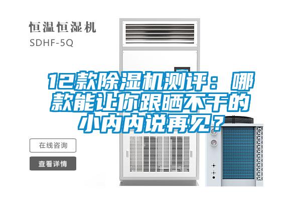 12款除濕機測評：哪款能讓你跟曬不干的小內(nèi)內(nèi)說再見？