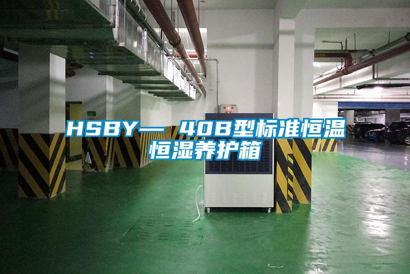 HSBY— 40B型標準恒溫恒濕養(yǎng)護箱