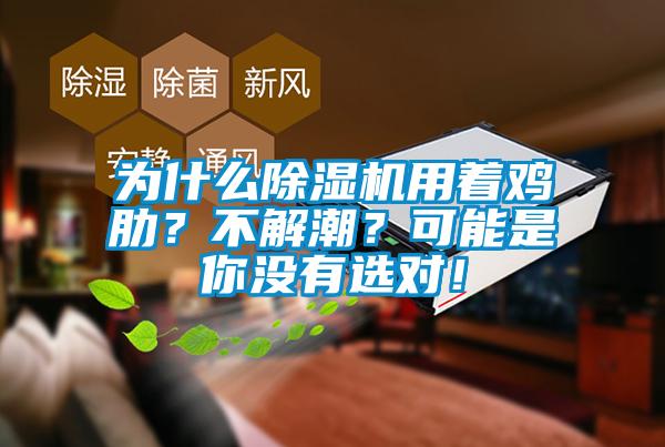 為什么除濕機用著雞肋？不解潮？可能是你沒有選對！