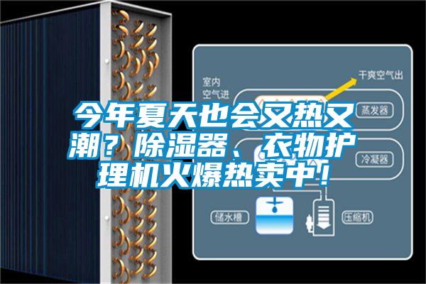 今年夏天也會(huì)又熱又潮？除濕器、衣物護(hù)理機(jī)火爆熱賣中！