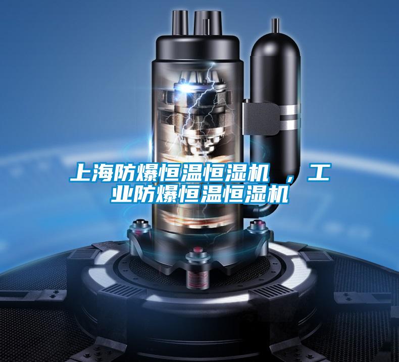 上海防爆恒溫恒濕機 ，工業(yè)防爆恒溫恒濕機