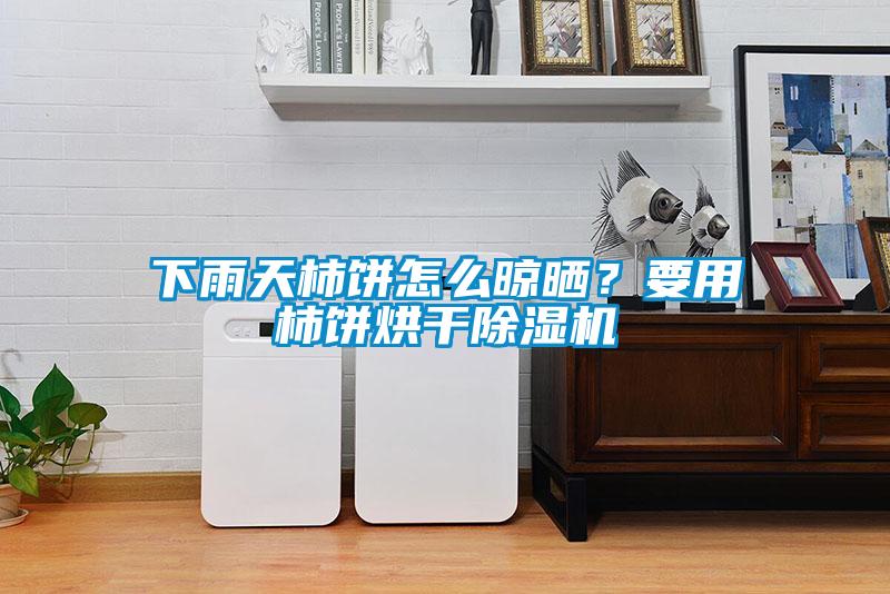 下雨天柿餅怎么晾曬？要用柿餅烘干除濕機