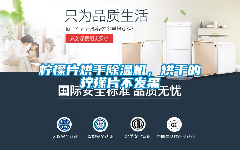 檸檬片烘干除濕機(jī)，烘干的檸檬片不發(fā)黑