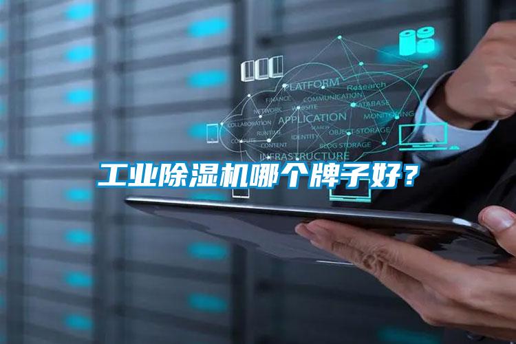 工業(yè)除濕機哪個牌子好？