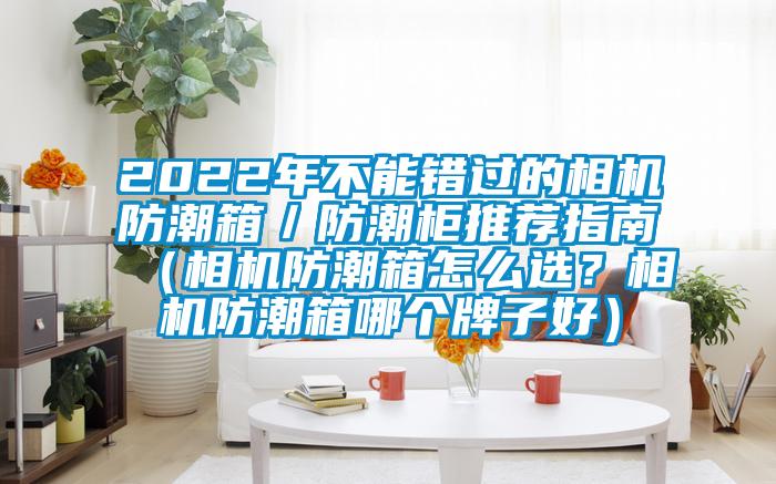 2022年不能錯過的相機(jī)防潮箱／防潮柜推薦指南（相機(jī)防潮箱怎么選？相機(jī)防潮箱哪個牌子好）