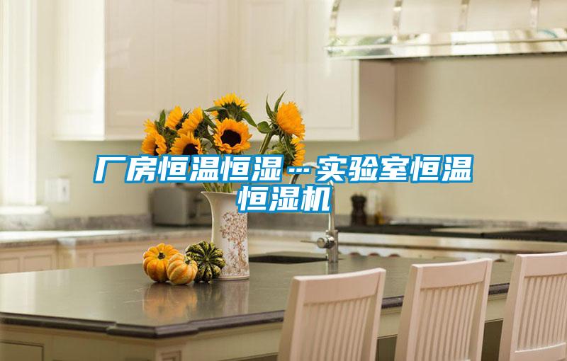 廠(chǎng)房恒溫恒濕…實(shí)驗(yàn)室恒溫恒濕機(jī)