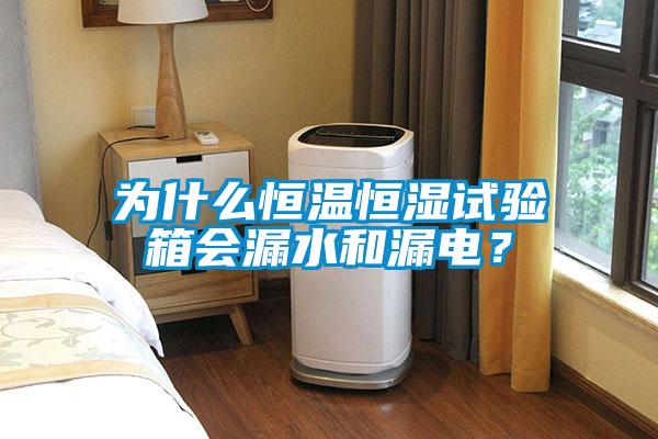 為什么恒溫恒濕試驗箱會漏水和漏電？