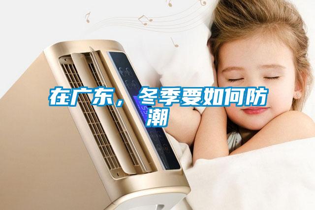 在廣東，冬季要如何防潮