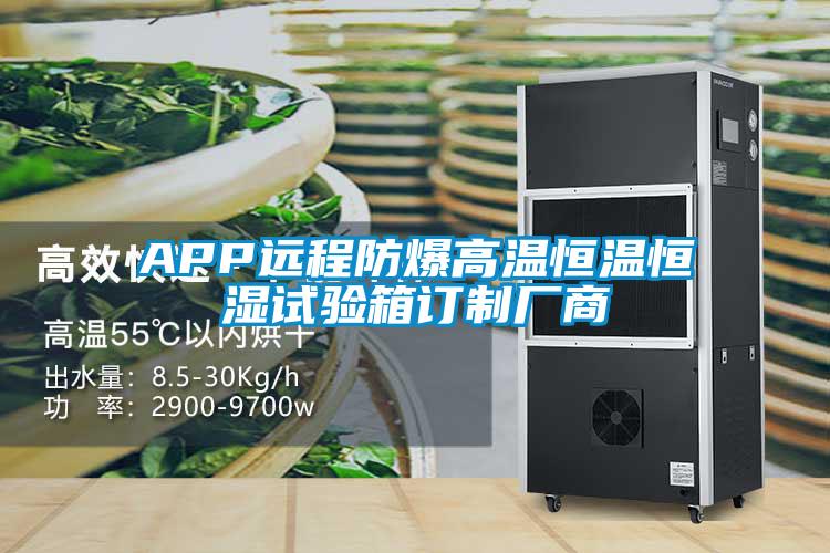 APP遠(yuǎn)程防爆高溫恒溫恒濕試驗箱訂制廠商