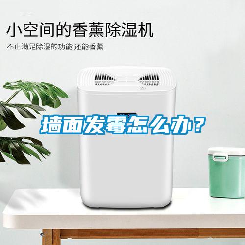 墻面發(fā)霉怎么辦？
