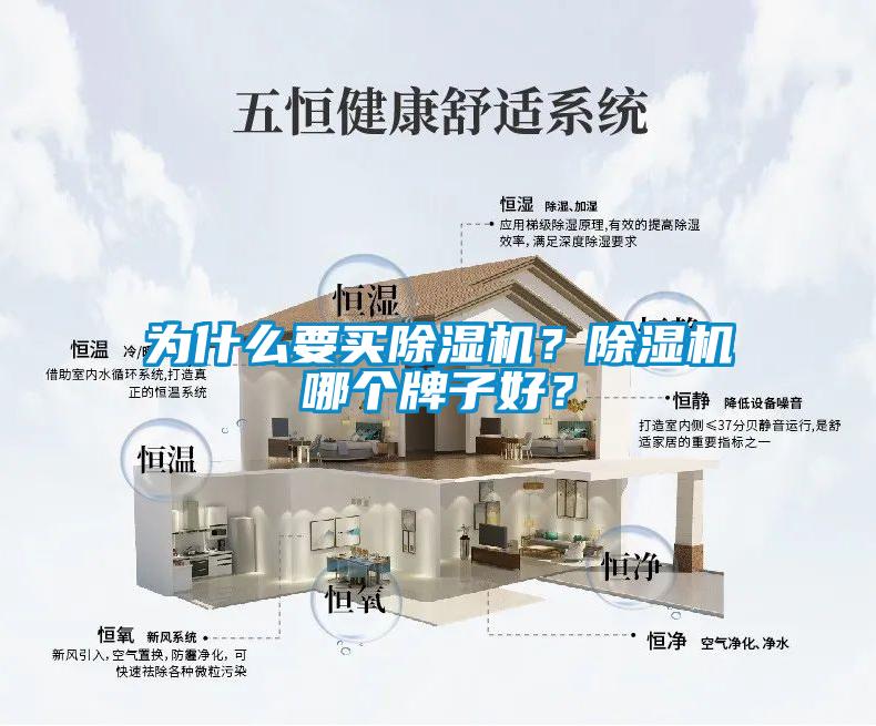 為什么要買除濕機(jī)？除濕機(jī)哪個(gè)牌子好？