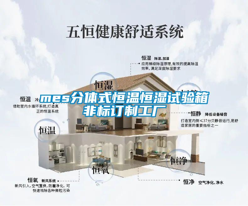 mes分體式恒溫恒濕試驗箱非標(biāo)訂制工廠