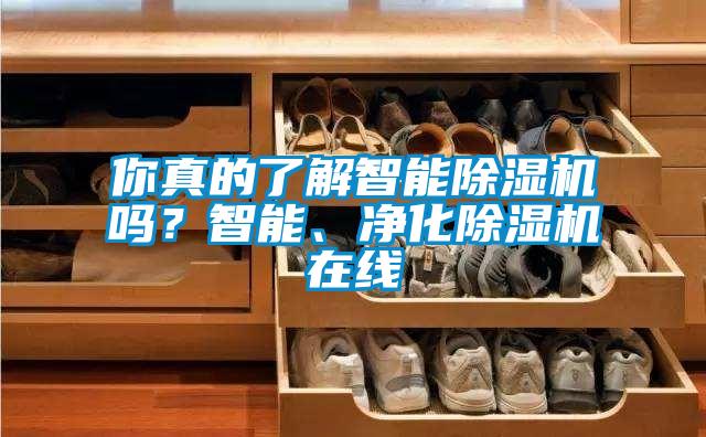 你真的了解智能除濕機(jī)嗎？智能、凈化除濕機(jī)在線