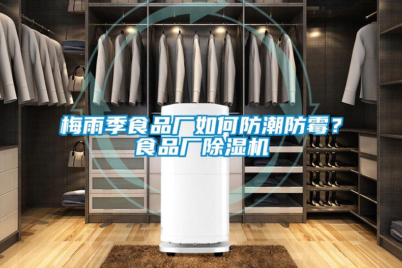 梅雨季食品廠如何防潮防霉？食品廠除濕機(jī)