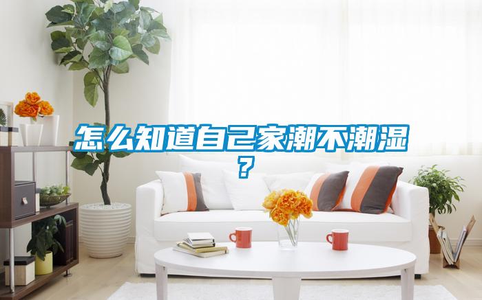 怎么知道自己家潮不潮濕？