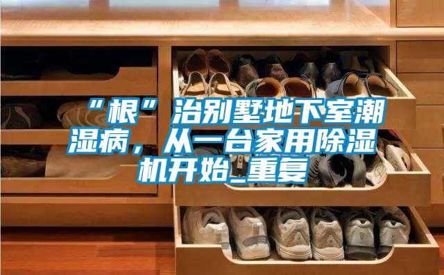 “根”治別墅地下室潮濕病，從一臺家用除濕機開始_重復(fù)