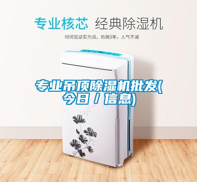 專(zhuān)業(yè)吊頂除濕機(jī)批發(fā)(今日／信息)