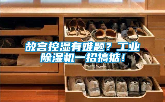 故宮控濕有難題？工業(yè)除濕機(jī)一招搞掂！
