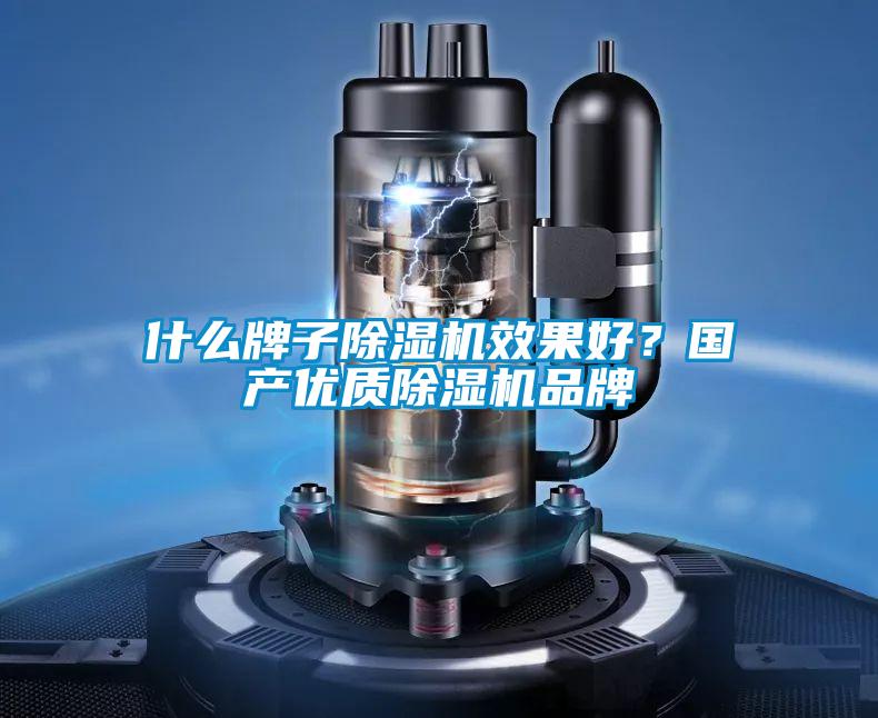 什么牌子除濕機(jī)效果好？國(guó)產(chǎn)優(yōu)質(zhì)除濕機(jī)品牌