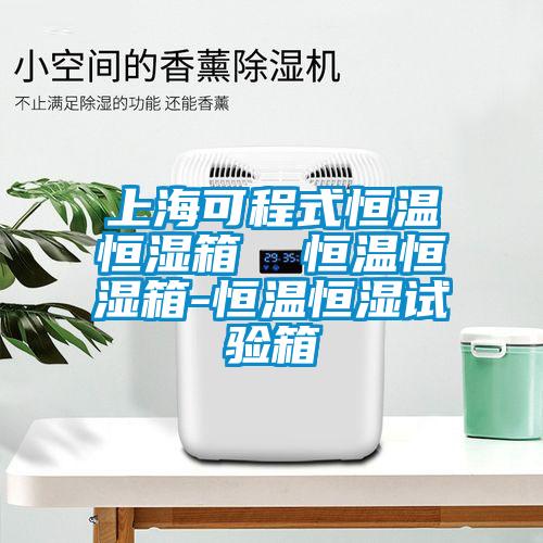 上?？沙淌胶銣睾銤裣? 恒溫恒濕箱-恒溫恒濕試驗(yàn)箱
