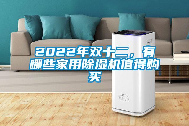 2022年雙十二，有哪些家用除濕機(jī)值得購(gòu)買(mǎi)
