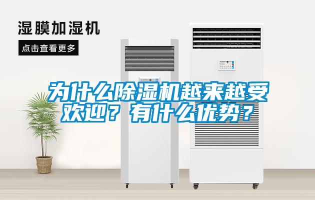 為什么除濕機越來越受歡迎？有什么優(yōu)勢？