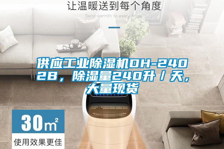 供應(yīng)工業(yè)除濕機(jī)DH-2402B，除濕量240升／天，大量現(xiàn)貨
