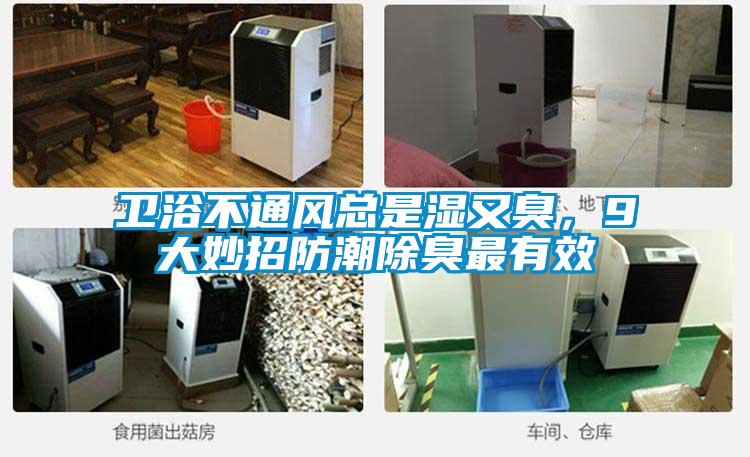 衛(wèi)浴不通風(fēng)總是濕又臭，9大妙招防潮除臭最有效