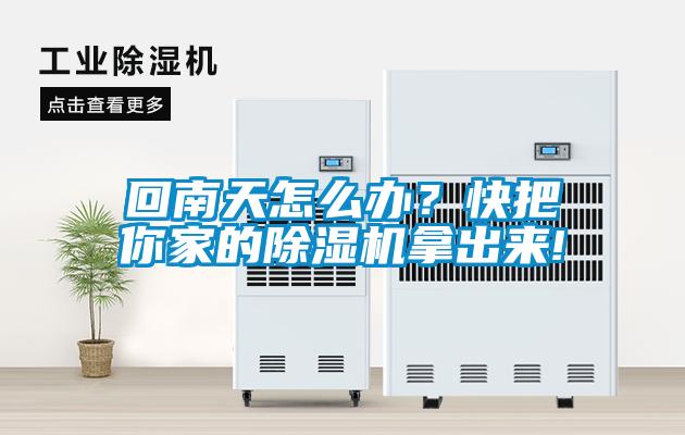 回南天怎么辦？快把你家的除濕機拿出來!