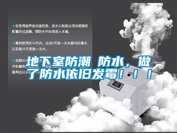地下室防潮≠防水，做了防水依舊發(fā)霉！?。?></div>
								<div   id=