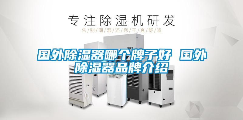 國外除濕器哪個(gè)牌子好 國外除濕器品牌介紹