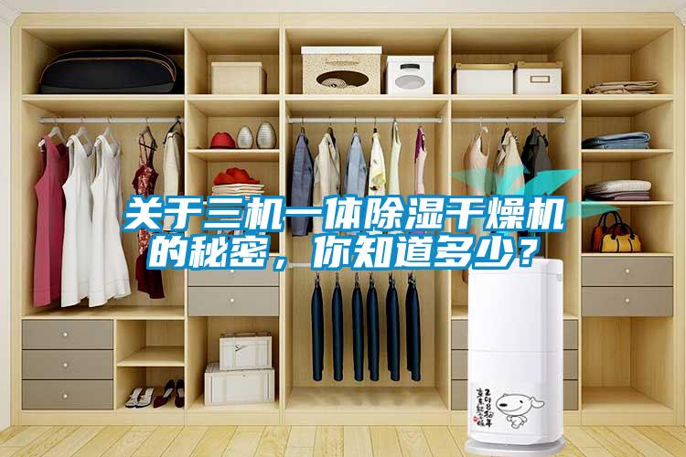 關于三機一體除濕干燥機的秘密，你知道多少？