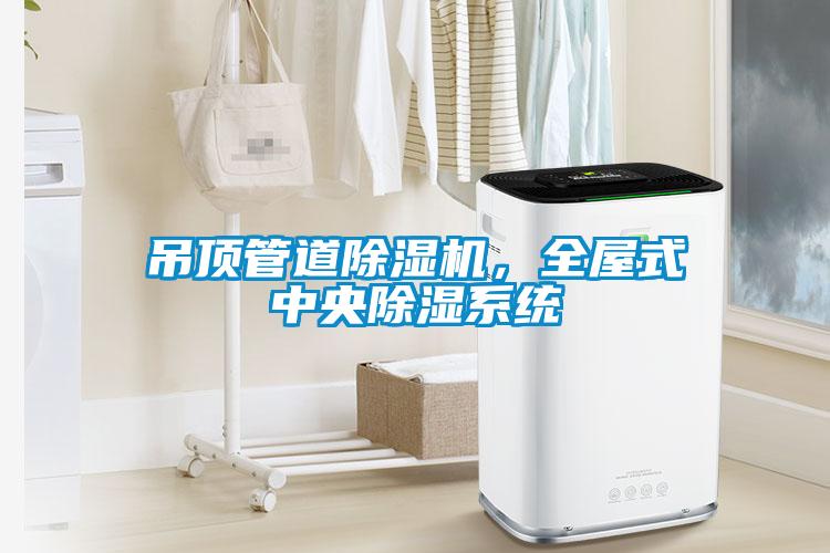 吊頂管道除濕機(jī)，全屋式中央除濕系統(tǒng)