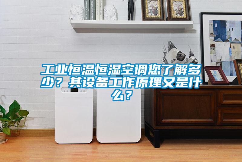 工業(yè)恒溫恒濕空調(diào)您了解多少？其設(shè)備工作原理又是什么？