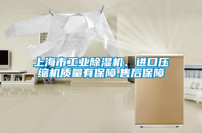 上海市工業(yè)除濕機(jī)、進(jìn)口壓縮機(jī)質(zhì)量有保障.售后保障