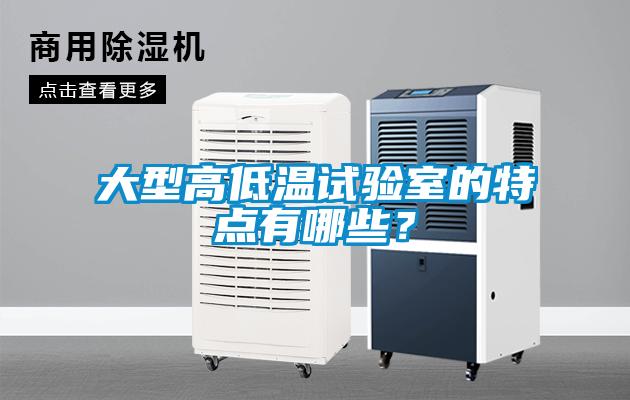 大型高低溫試驗(yàn)室的特點(diǎn)有哪些？