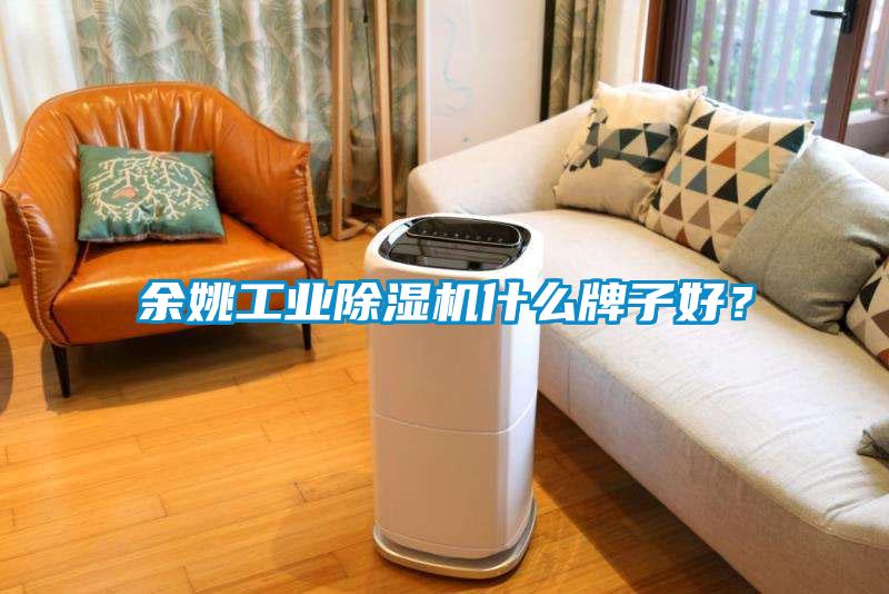 余姚工業(yè)除濕機(jī)什么牌子好？