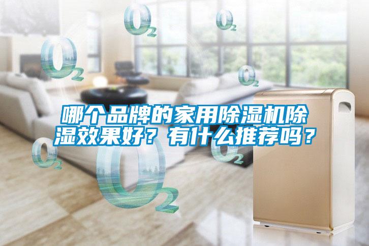 哪個(gè)品牌的家用除濕機(jī)除濕效果好？有什么推薦嗎？