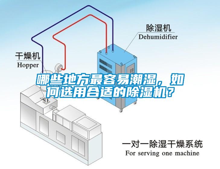 哪些地方最容易潮濕，如何選用合適的除濕機？