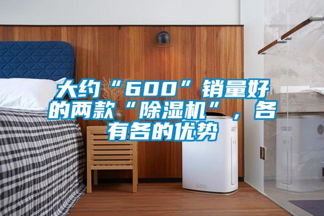 大約“600”銷量好的兩款“除濕機”，各有各的優(yōu)勢