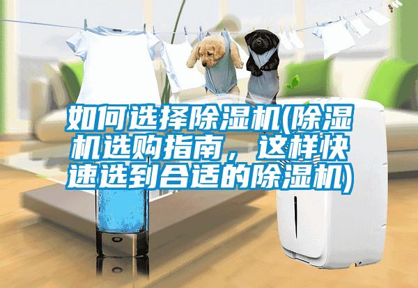 如何選擇除濕機(jī)(除濕機(jī)選購(gòu)指南，這樣快速選到合適的除濕機(jī))