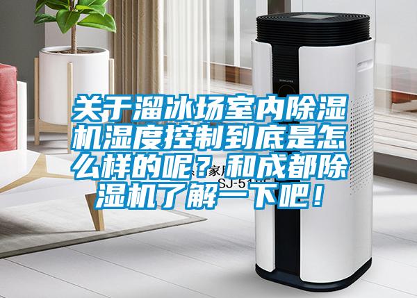 關于溜冰場室內(nèi)除濕機濕度控制到底是怎么樣的呢？和成都除濕機了解一下吧！