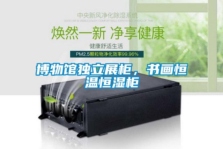 博物館獨(dú)立展柜，書畫恒溫恒濕柜
