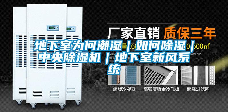 地下室為何潮濕｜如何除濕｜中央除濕機｜地下室新風系統(tǒng)