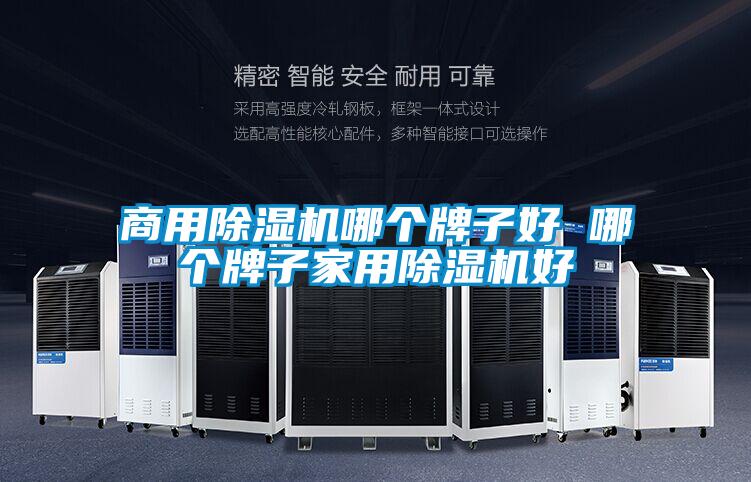 商用除濕機(jī)哪個牌子好 哪個牌子家用除濕機(jī)好